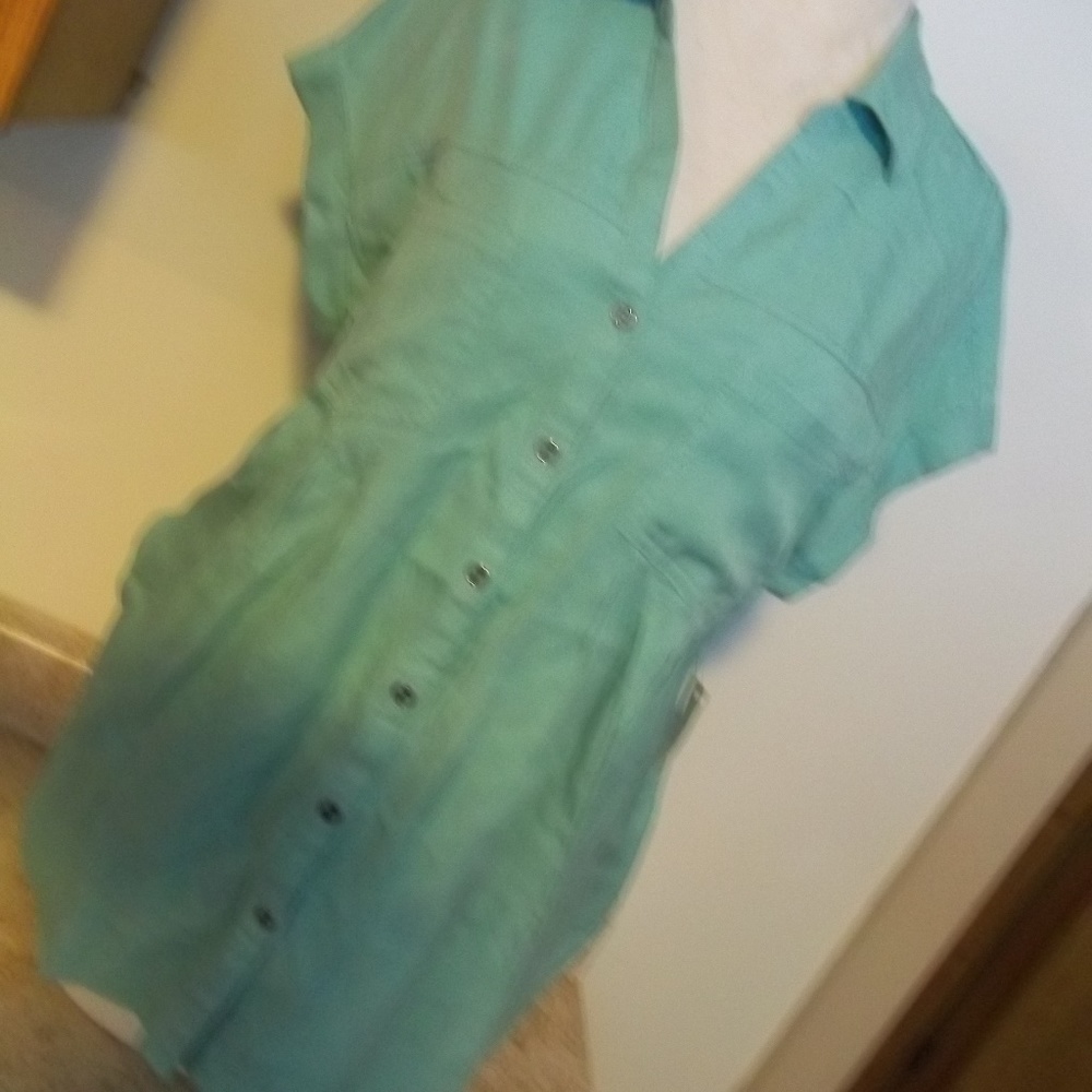 NWT STYLE & CO CORE FASHION BLOUSE LG SWEET MINT